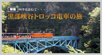 黒部峡谷鉄道トロッコ電車